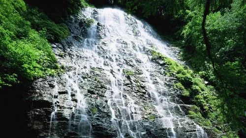 信息化高性能